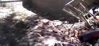 Луганск: Снаряд попал в детский сад. Видео