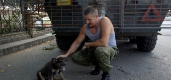 Боевые будни батальона ОУН. Видео