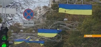Как ночью в Харькове избавлялись от флагов Украины. Видео