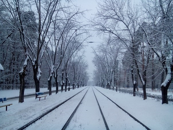 В Киеве выпал первый снег. Фото