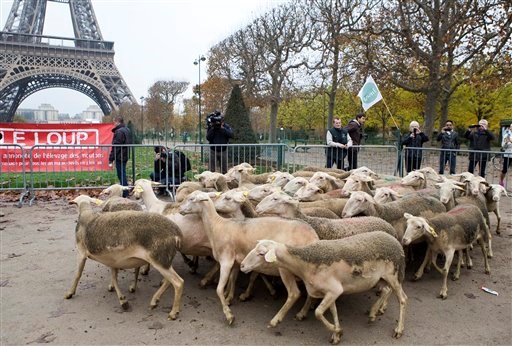 К подножию Эйфелевой башни привели около 200 овец. Фото