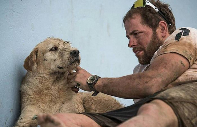 Собака за другом преодолела 692 километра по джунглям Эквадора. Фото