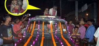 В Индии состоялась обезьянья свадьба. Фото