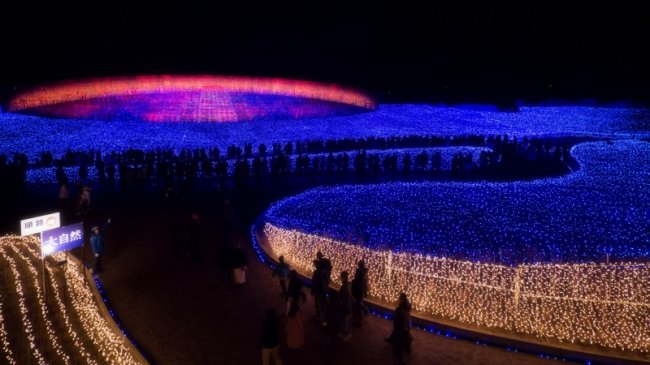 В Японии проходит зимний фестиваль света. Фото