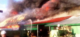 На окраине Киева сгорела станция техоблуживания с автомобилями. Видео