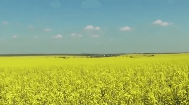 Ролик руфера Мустанга: «Вот почему украинцы победят». Видео