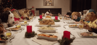 Веселый ролик: Очеловеченные кот с собаками пируют за столом. Видео