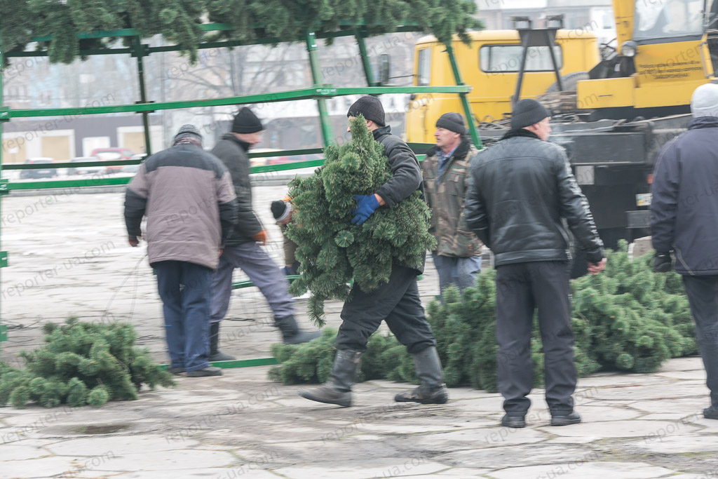 На главной площади Запорожья устанавливают елку за 90 тыс. грн. Фото