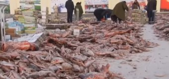 В Китае началась традиционная зимняя рыбалка. Видео
