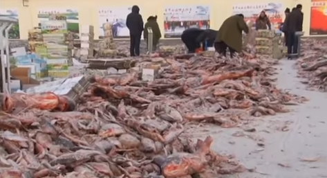 В Китае началась традиционная зимняя рыбалка. Видео