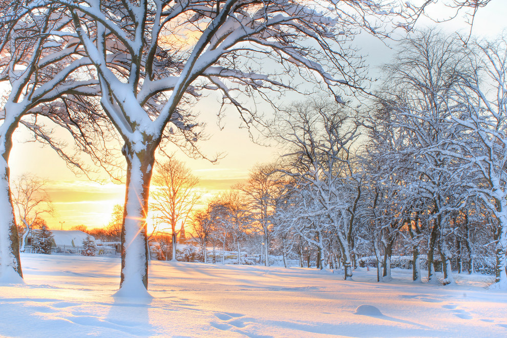«Хроники Нарнии» в Шотландии: опубликованы фантастические снимки зимы. Фото