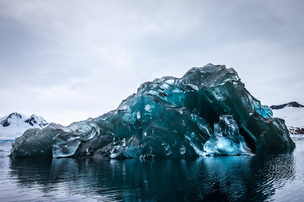 Участникам экспедиции удалось сделать редчайшие снимки перевернутого айсберга. Фото