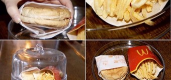 Бургер и картофель фри из McDonald’s шестилетней выдержки сохранились как свежие. Фото
