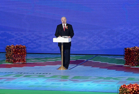 Лукашенко засыпали яблоками. Фото