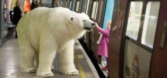 Белый медведь гулял по Лондону. Видео