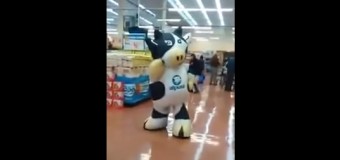 Оригинальная реклама: танцующая корова в супермаркете «взорвала» интернет. Видео