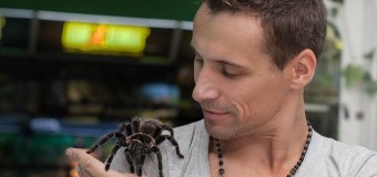 В украинской «однушке» живет самая большая коллекция пауков в стране. Фото