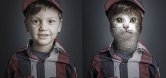 Швейцарец создал забавную фотосессию кошек в образе их хозяев. Фото