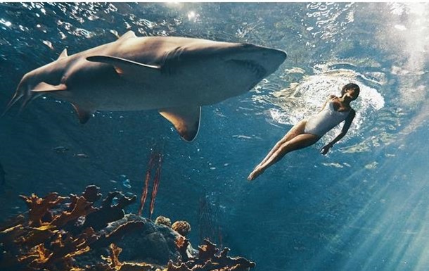 Как Рианна снималась в фотосессии с настоящими акулами. Видео