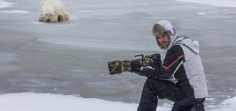 Экстремальная фотосессия с полярным медведем от итальянского фотографа. Фото