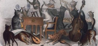 В США создали музыку для котов. Видео