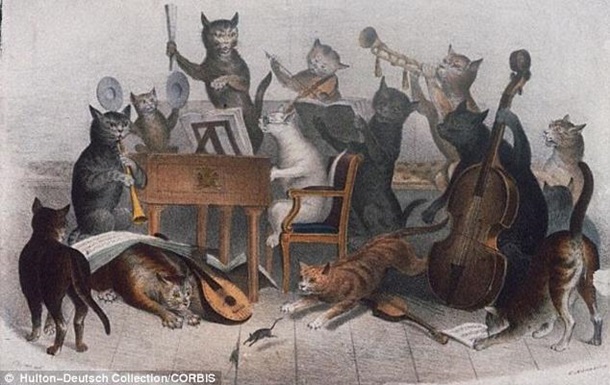 В США создали музыку для котов. Видео