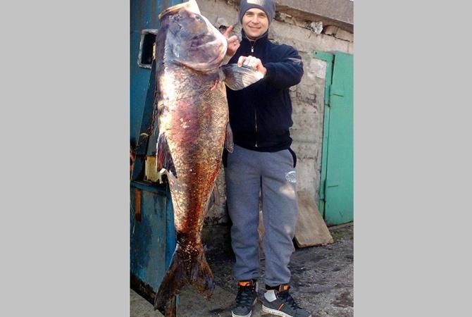 В Днепропетровске поймали гигантского толстолобика человеческого роста. Видео