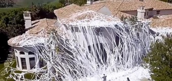 Дом телеведущего забросали 4 тысячами рулонов туалетной бумаги. Видео
