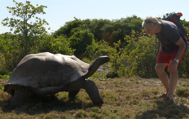 Огромный разгневанный самец черепахи «отомстил» исследователям за прерванный интим. Видео
