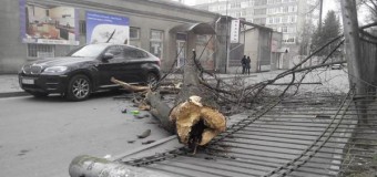 Харьков пострадал от урагана. Фото
