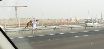 Сеть «взорвал» ролик с мужчиной, бегущим за верблюдом. Видео