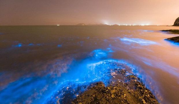Жители Китая засняли синее свечение на берегу океана. Фото