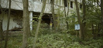 Девушка вернулась в Чернобыль спустя 30 лет. Фото