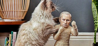 Путин и Ким Чен Ын стали игрушками для кошек. Фото