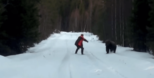 Мужчина напугал своим криком дикого медведя. Видео