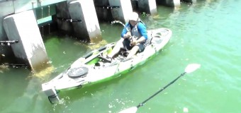 Видео, как флоридский рыбак поймал окуня размером с лодку, покорило сеть