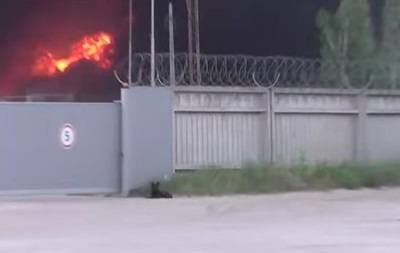 Верный пес остается у ворот нефтебазы, несмотря на пожар. Видео