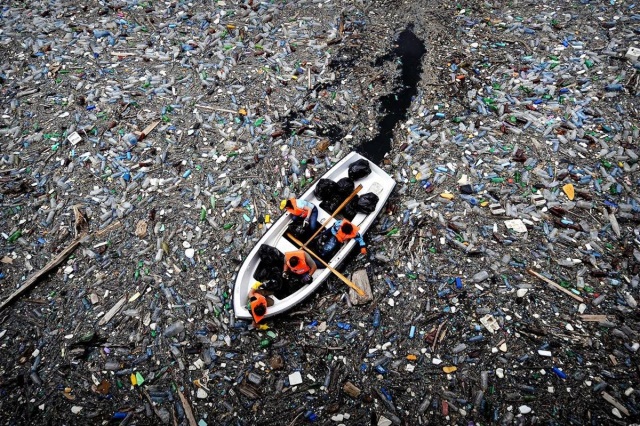 Экошок: один из самых больших островов мира состоит из мусора. Фото