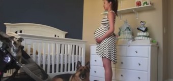 Хит сети: парень показал всю беременность своей жены в 90-секундном видео