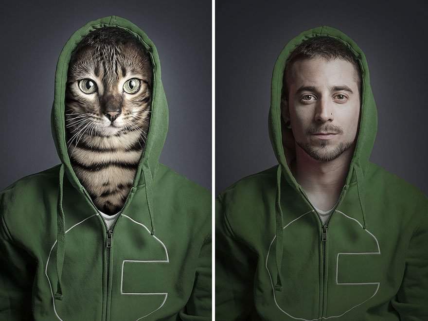 «Бомба» с котами: четверолапые друзья в человеческом обличье. Фото