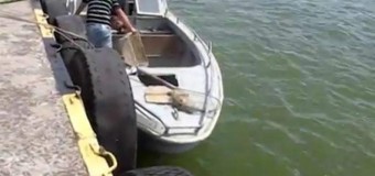 Пограничники задержали рыбаков с удостоверениями «ДНР». Видео