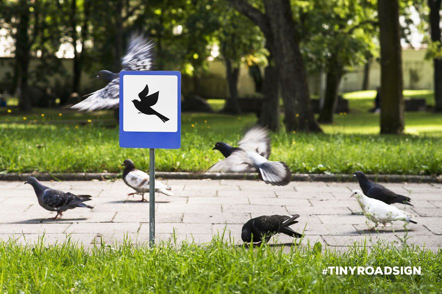 В Литве установили дорожные знаки для животных. Фото