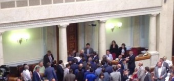 В Раде нардепы подрались после голосования по децентрализации. Видео