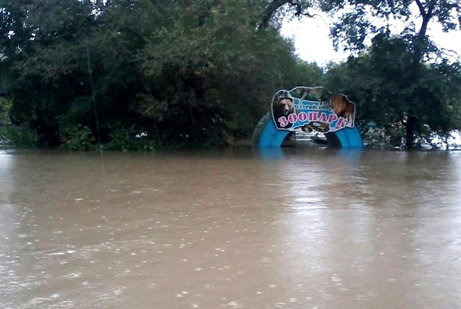 Дожди в России затопили зоопарк. Видео