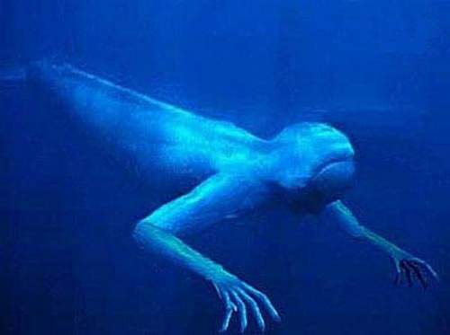 Японцы сняли на видео неизвестное существо, которое вышло из океана