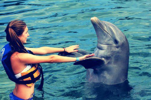 Девушка, говорящая голосом дельфина, покорила сеть. Видео