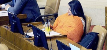 Депутат из Чили пришла на заседание в одеяле и стала главной героиней мемов. Фото