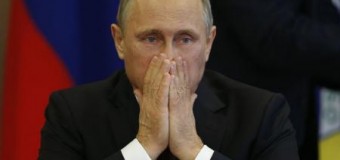Россия может послать на Евровидение песню «Владимир Путин молодец!». Видео
