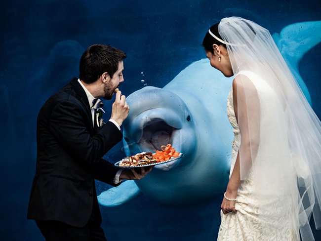 Невероятно смешные свадебные фото покорили сеть