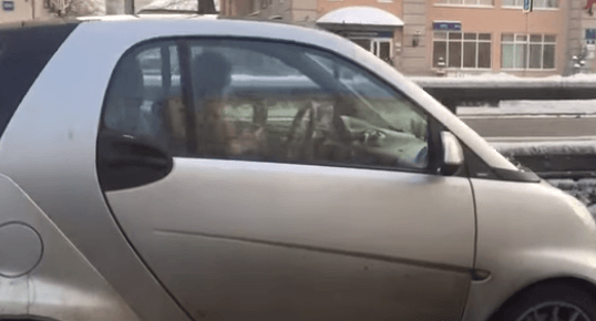 Женщина, которая вяжет за рулем, рассмешила пользователей сети. Видео